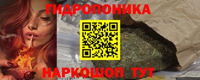 прущие грибы Северобайкальск