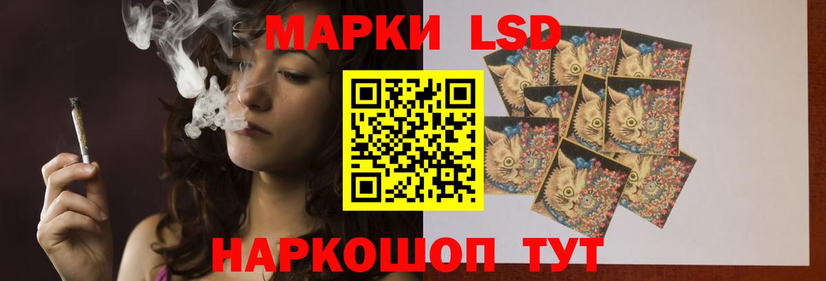 Лсд 25 экстази ecstasy  Вход с VPN  Лсд 25 экстази  Новоалександровск  LSD-25 экстази ecstasy 
