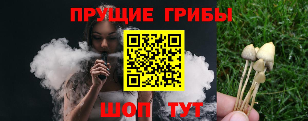 Псилоцибиновые грибы MAGIC MUSHROOMS Новоалександровск